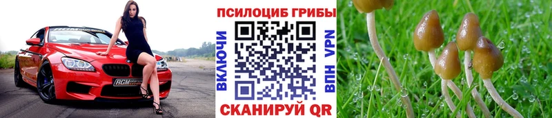 Галлюциногенные грибы Psilocybine cubensis  магазин  наркотиков  Тетюши 